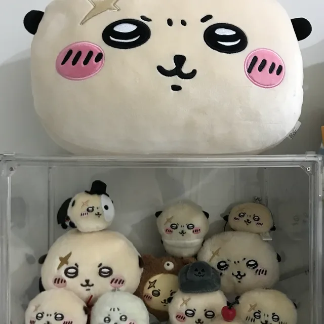 맹맹꽁