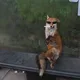밥풀