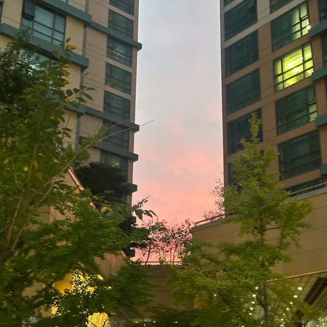 혹시당근이세요
