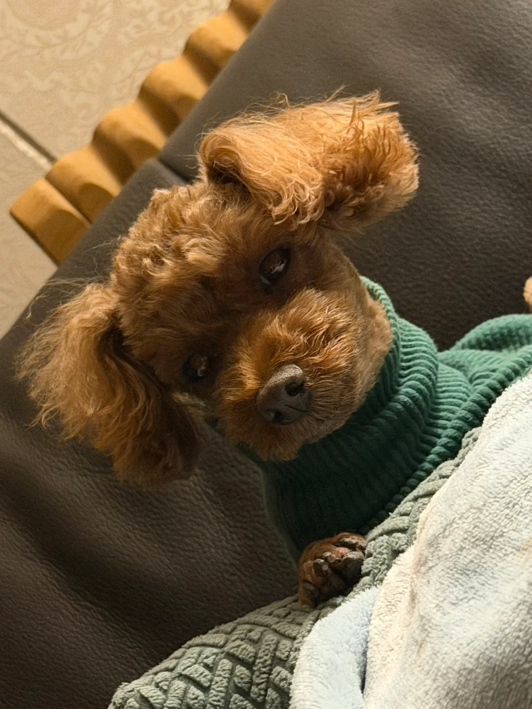 웅탱