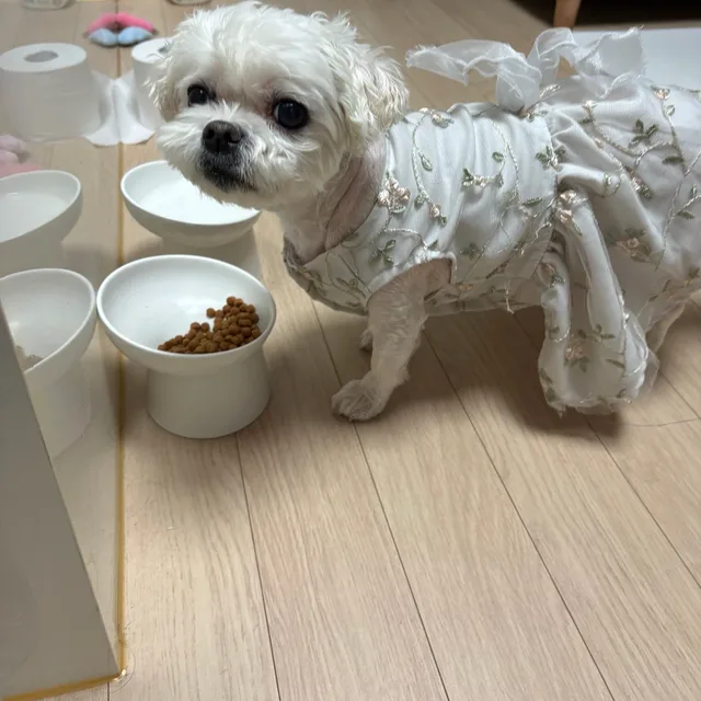 신덕배