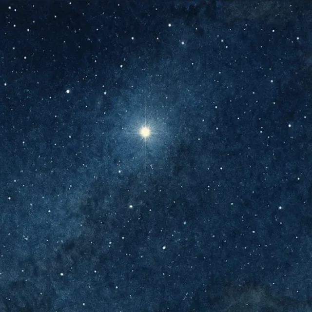 Pia