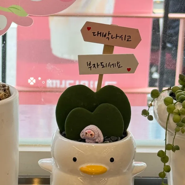 타코야끼