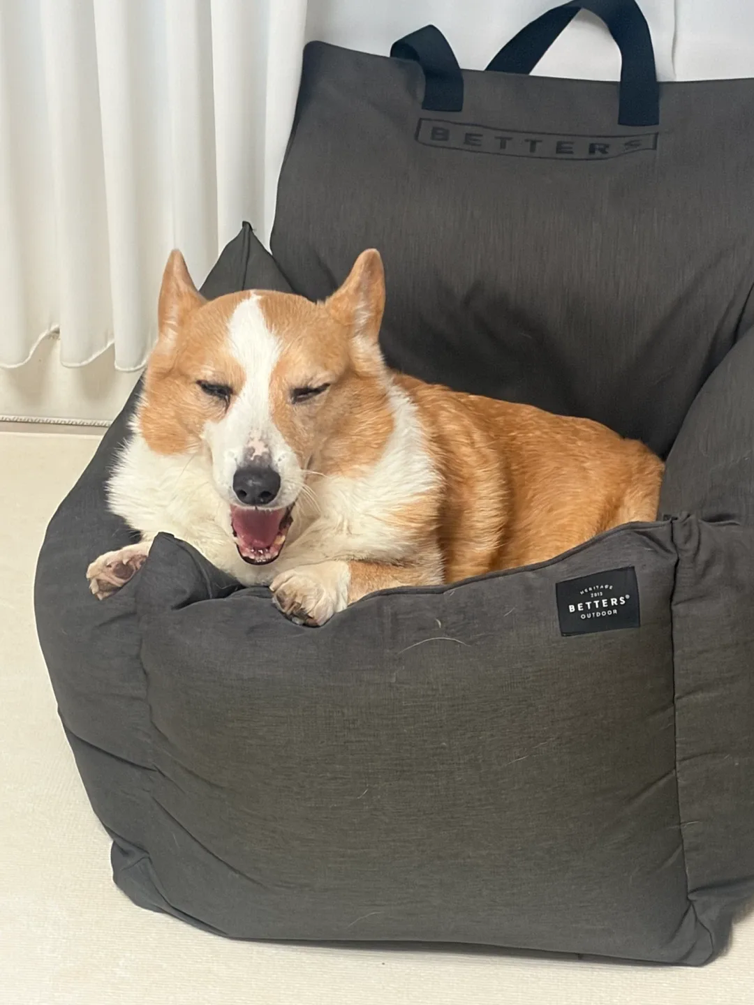 코로롱