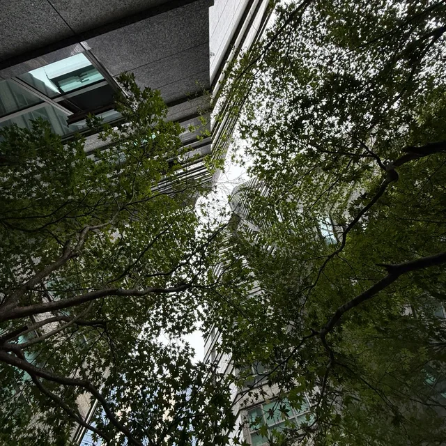 남산