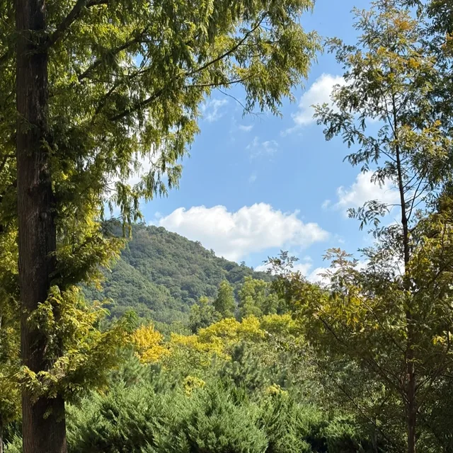 당근동자