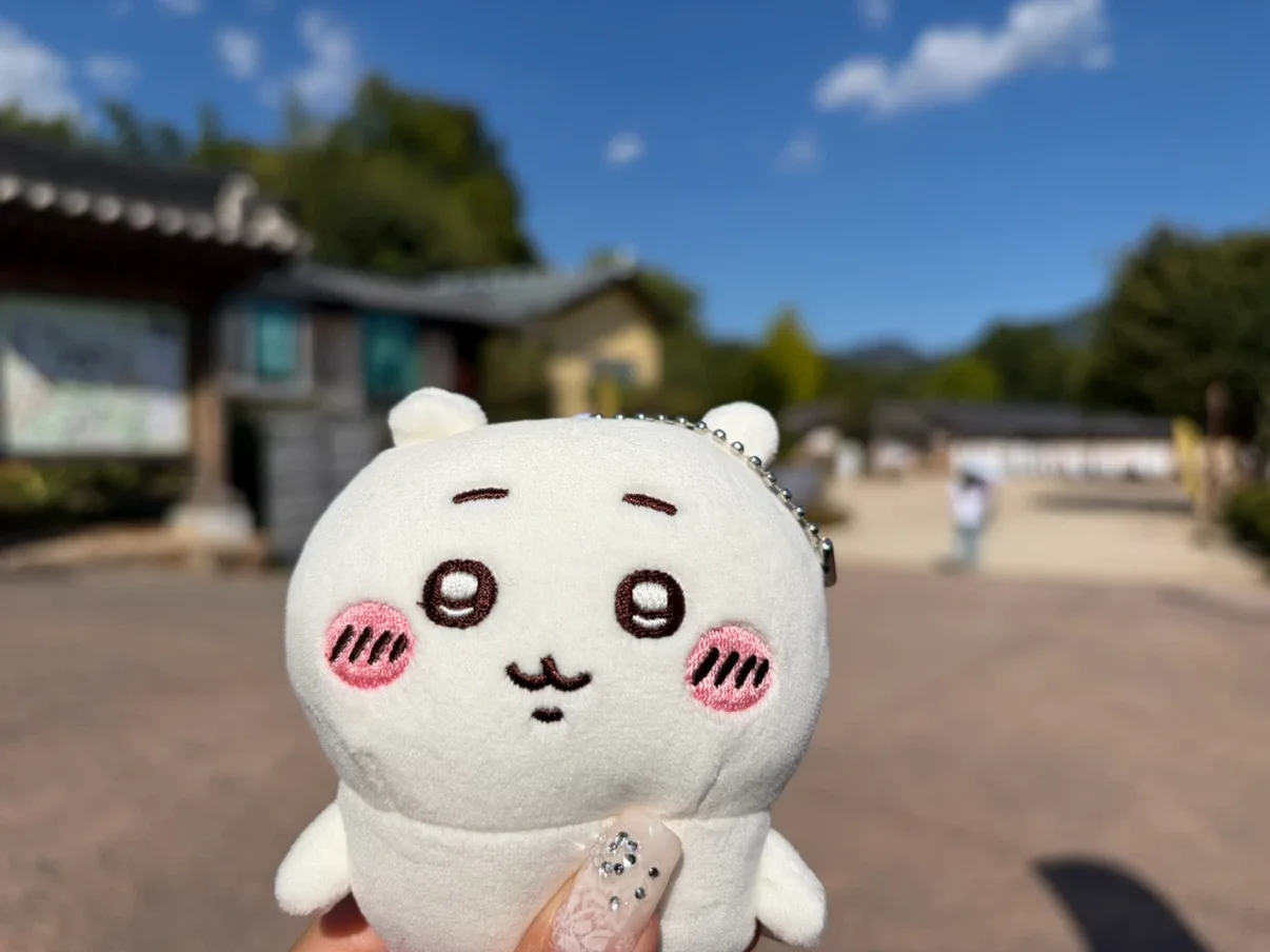 양파파웅파파