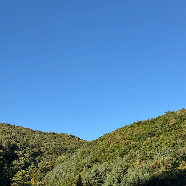 멘보샤이
