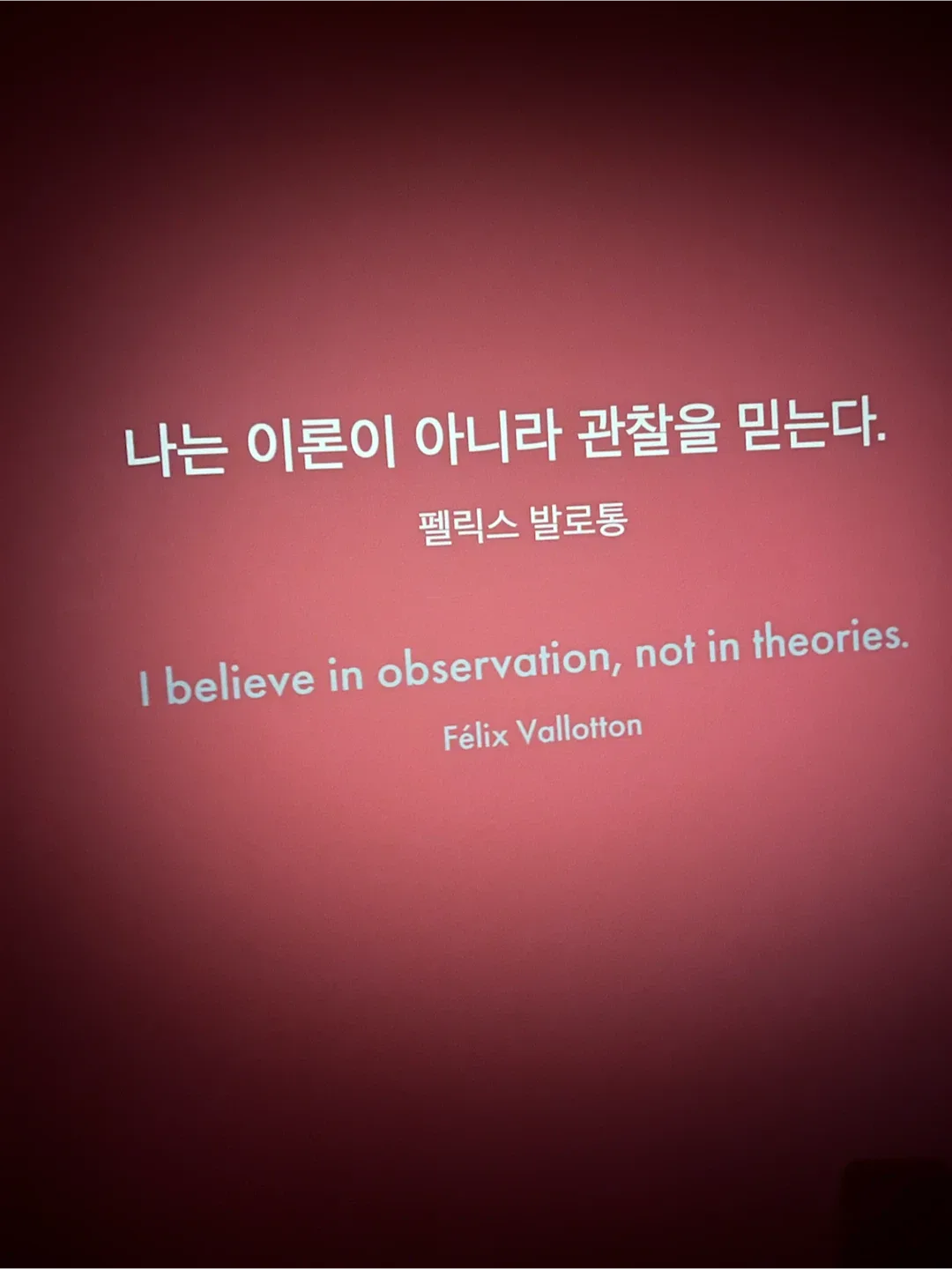 야옹강아지