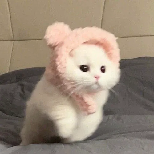 팔아요
