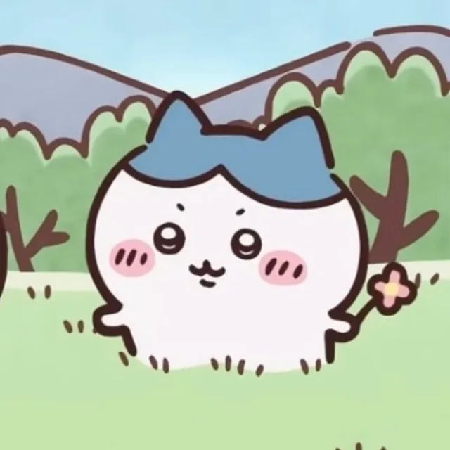 새로