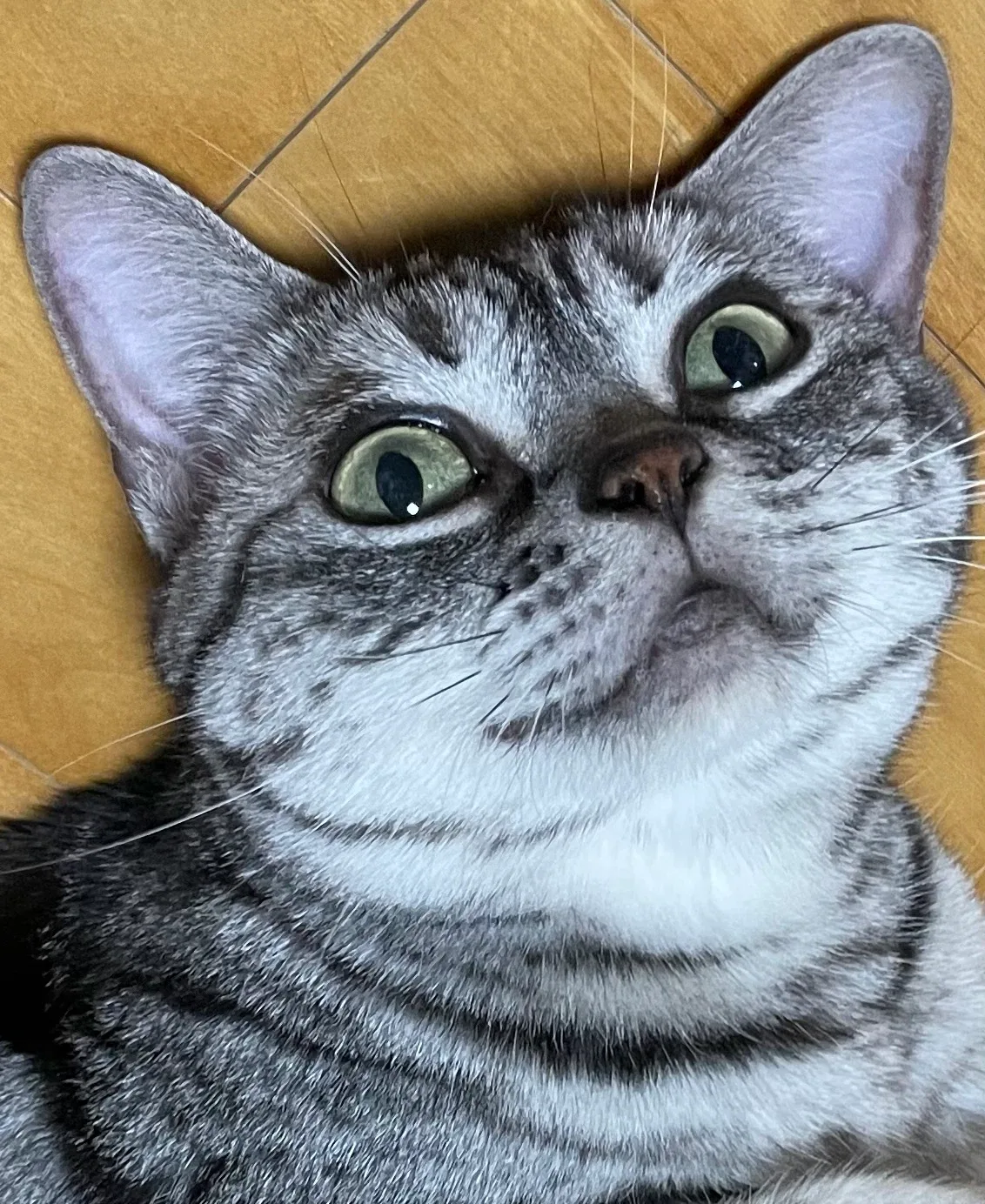 아루아빠