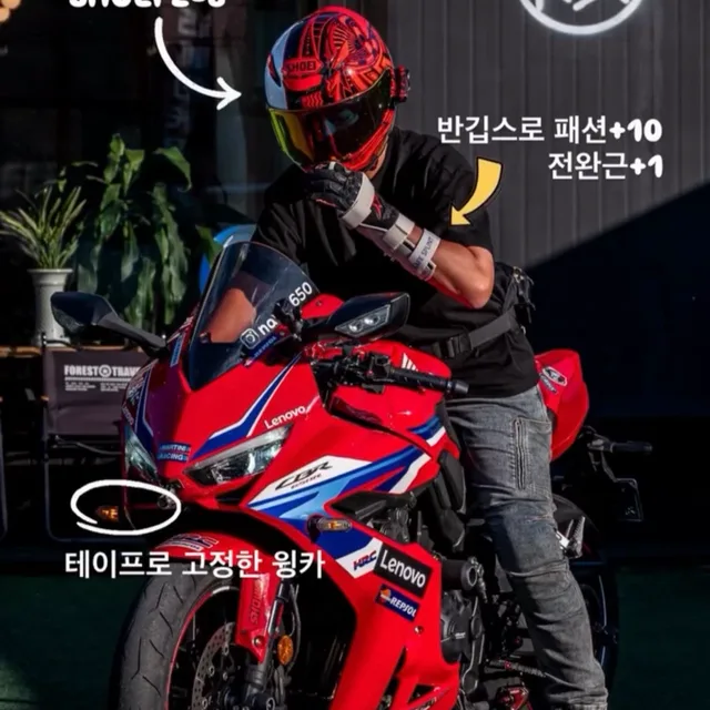 닥터웅