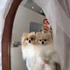 미쯔쯔