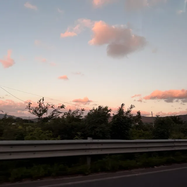 아보카도