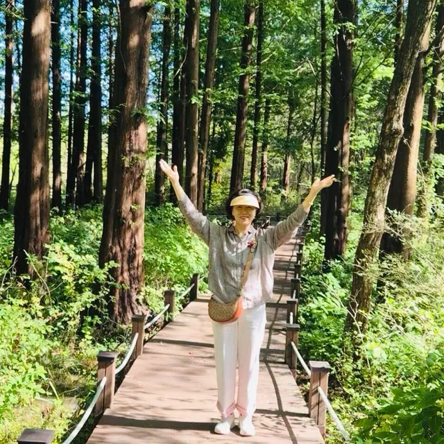 망고