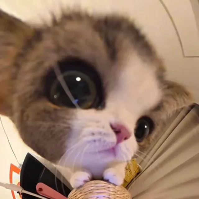 루피
