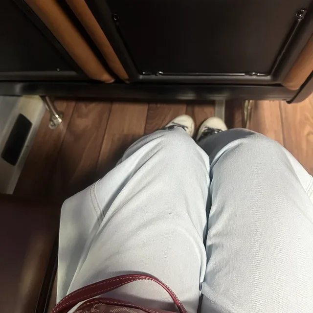 신디정