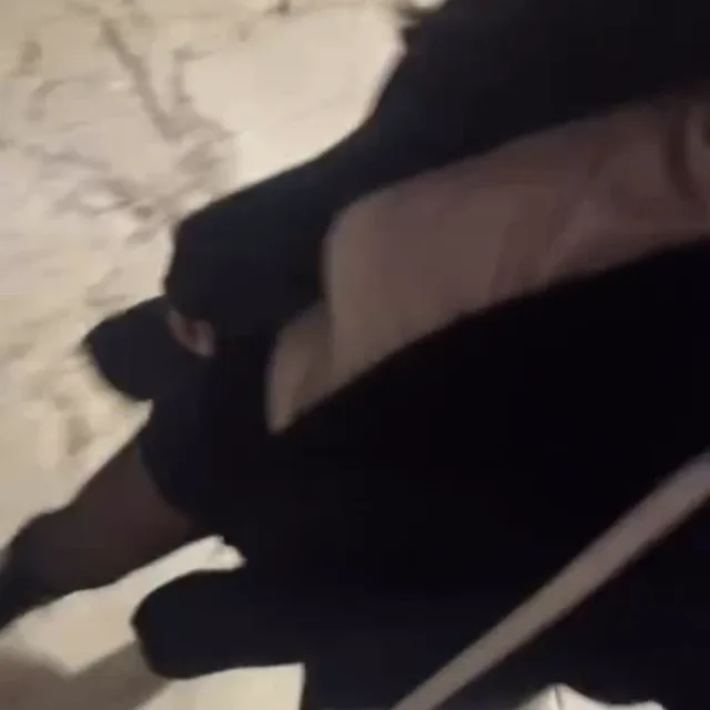새벽