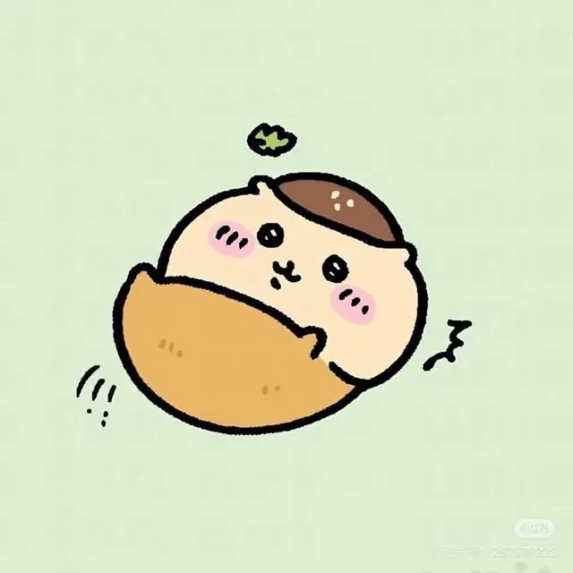 뽀짝쿠리