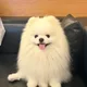 옥수