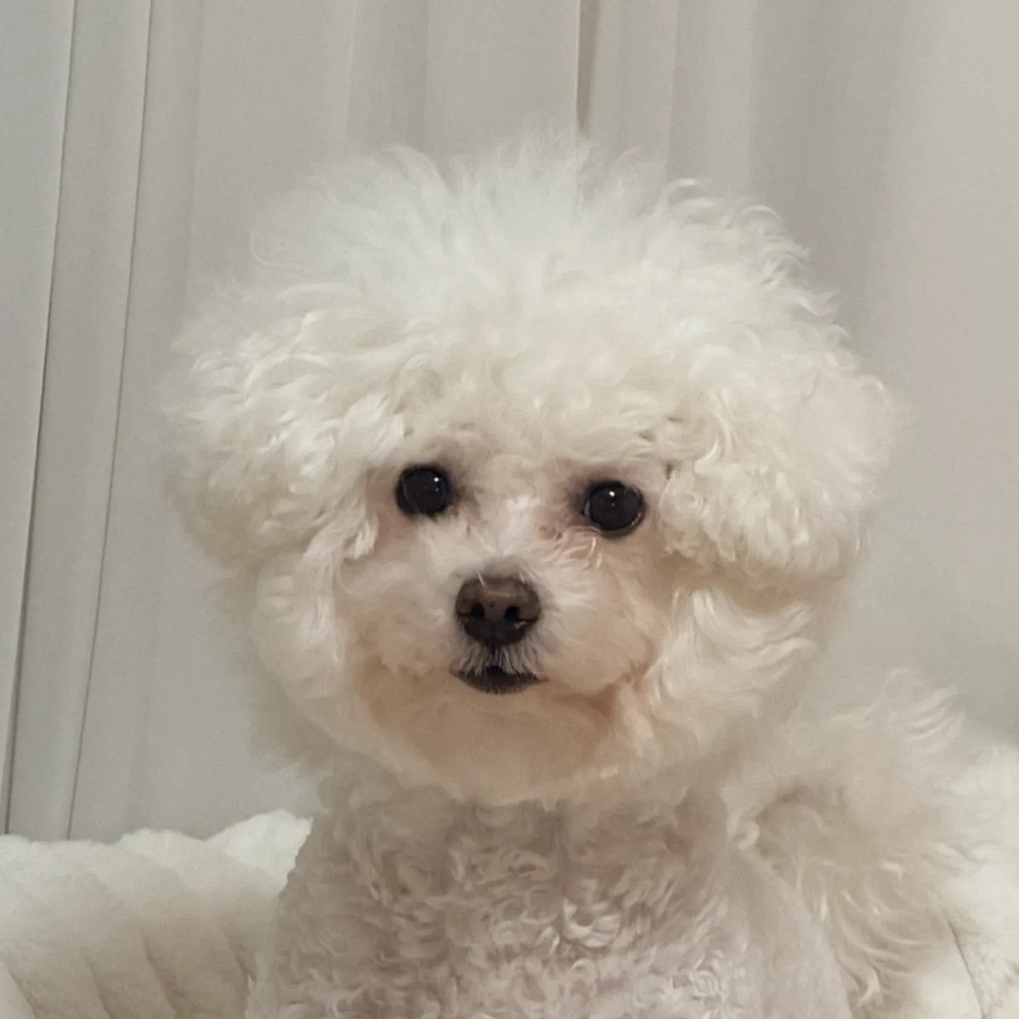 나띠