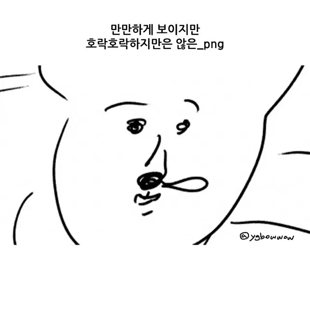 모과