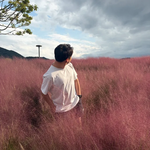 이리우