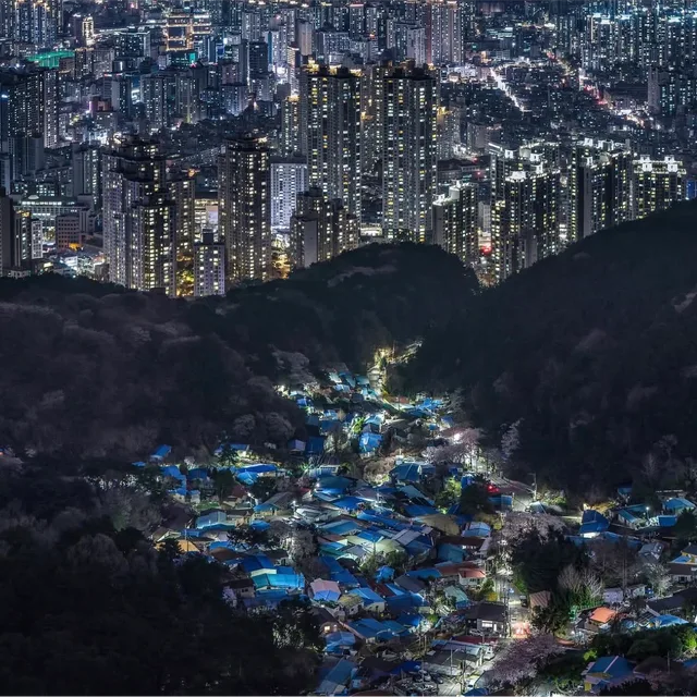 쭈햄