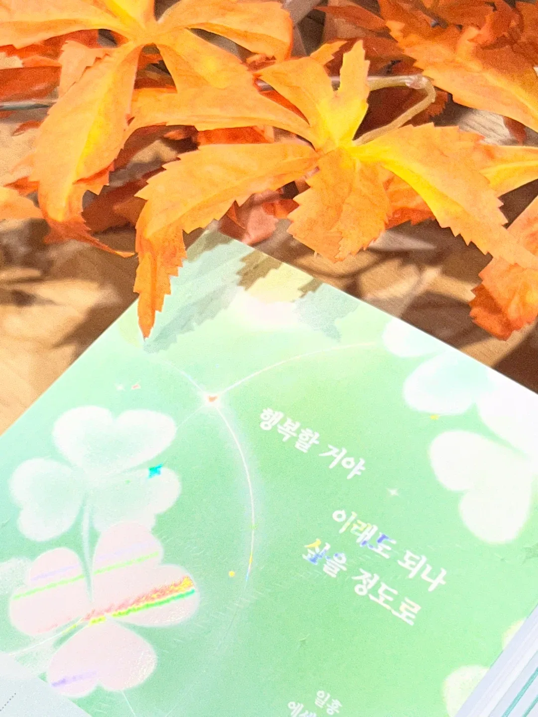 환불안돼용