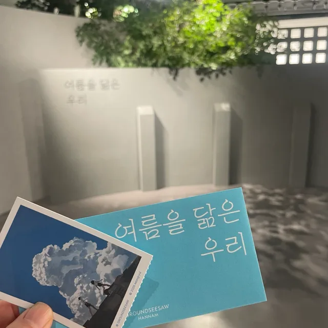 식용금붕어