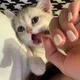 몰리