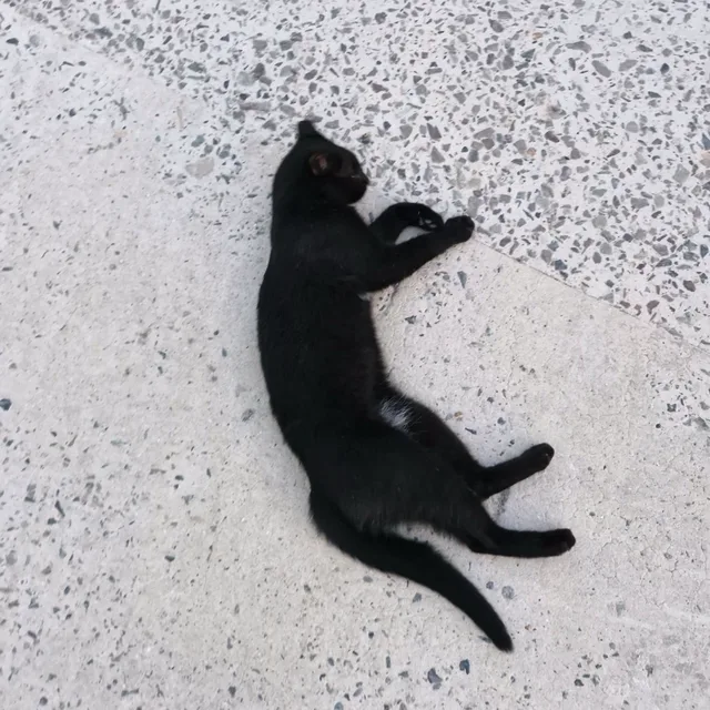 이도훈