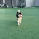 루시