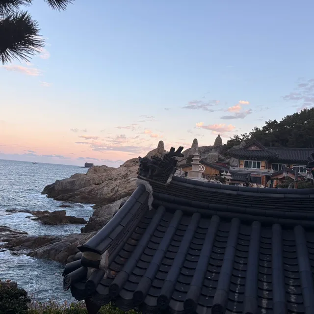 당근거래