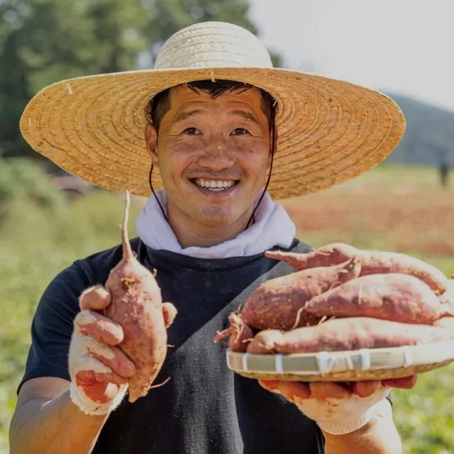 비밥