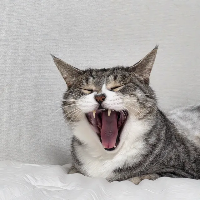유어리
