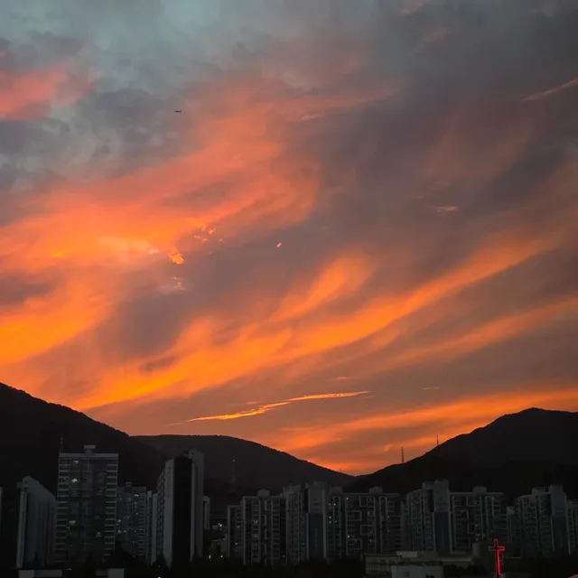 리더십