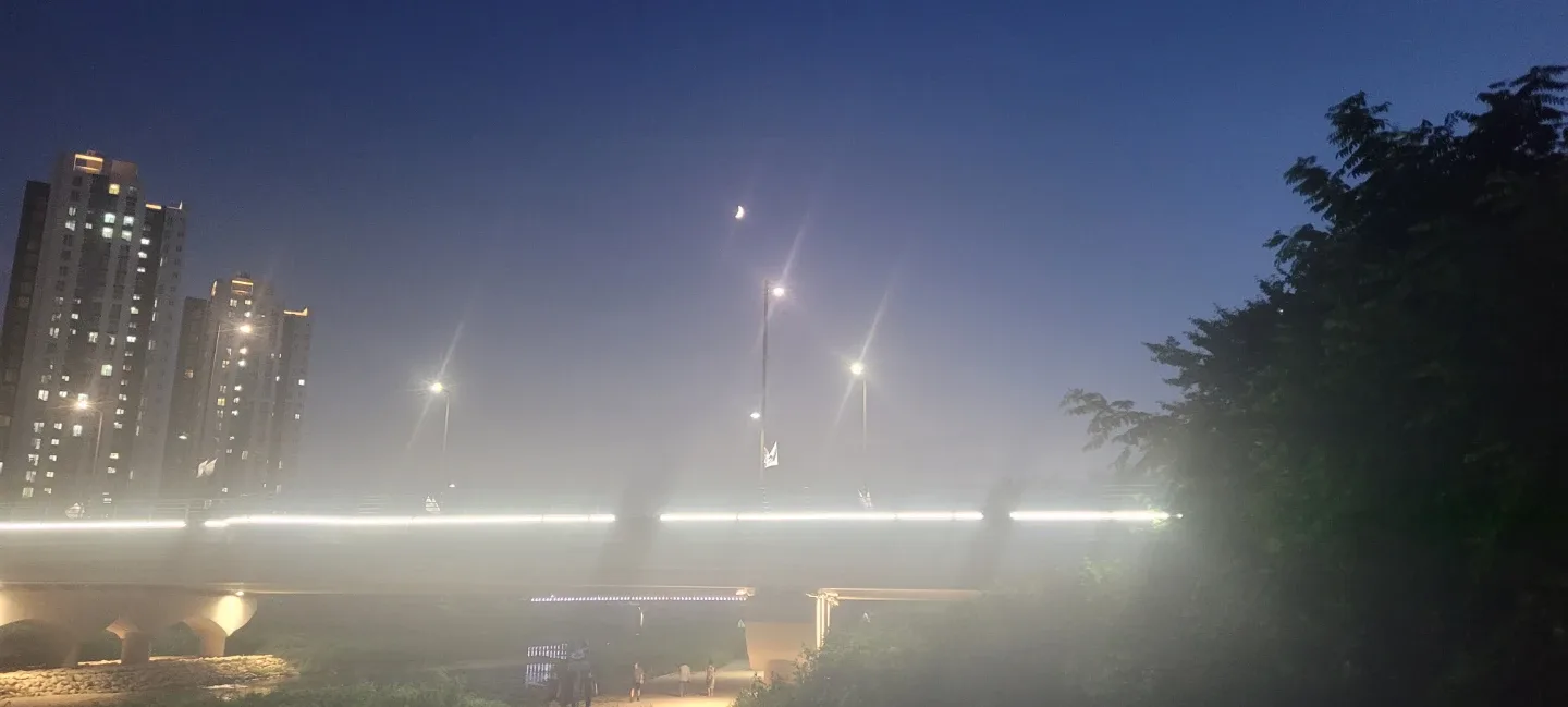 당근페이해요