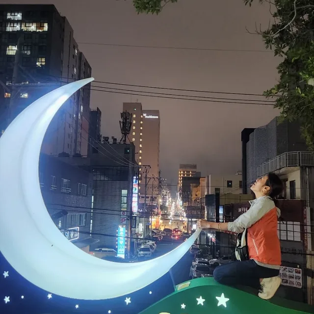 도치바라기