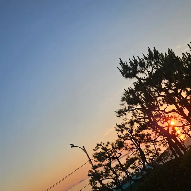 호로롱