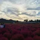 당근화이팅