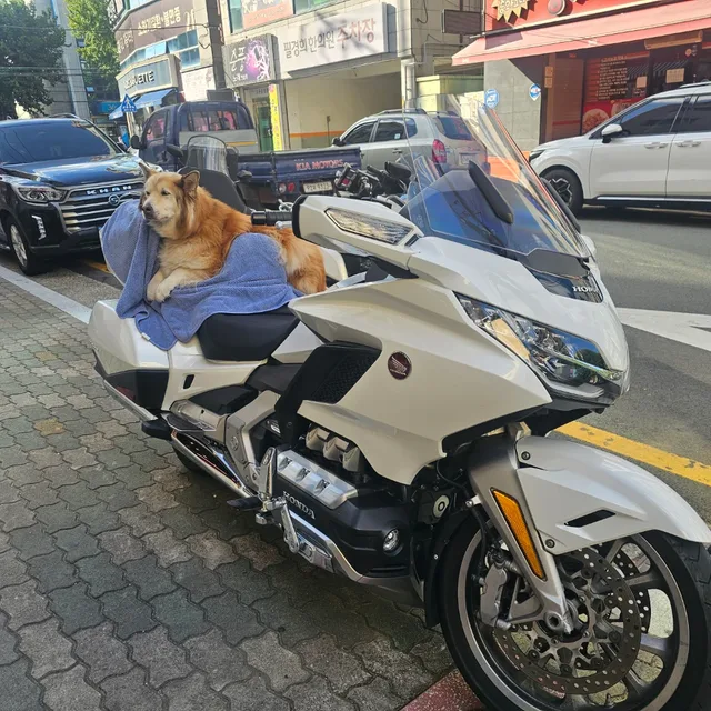브레멘TV