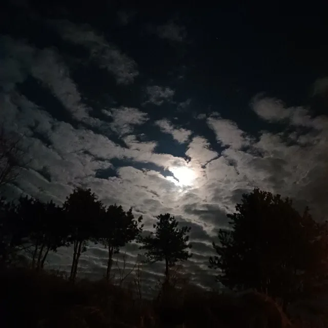 스토리