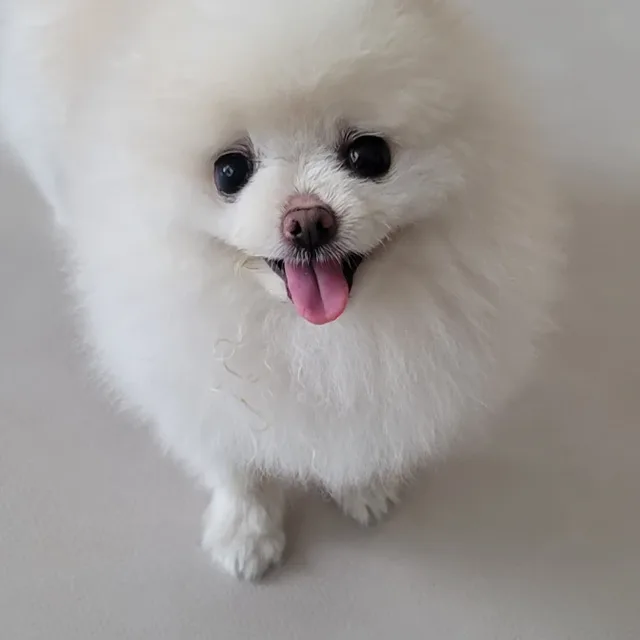 가을가을하네