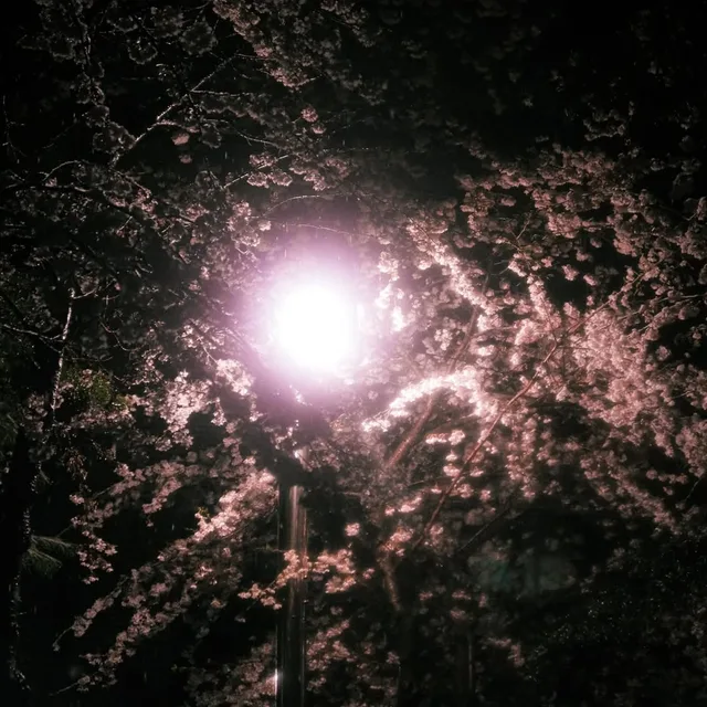 닉네임없어요