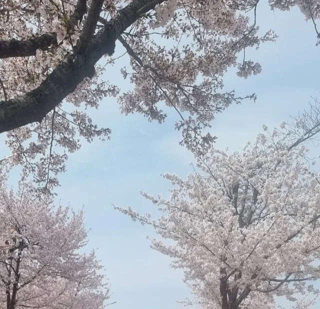 지연도치사랑