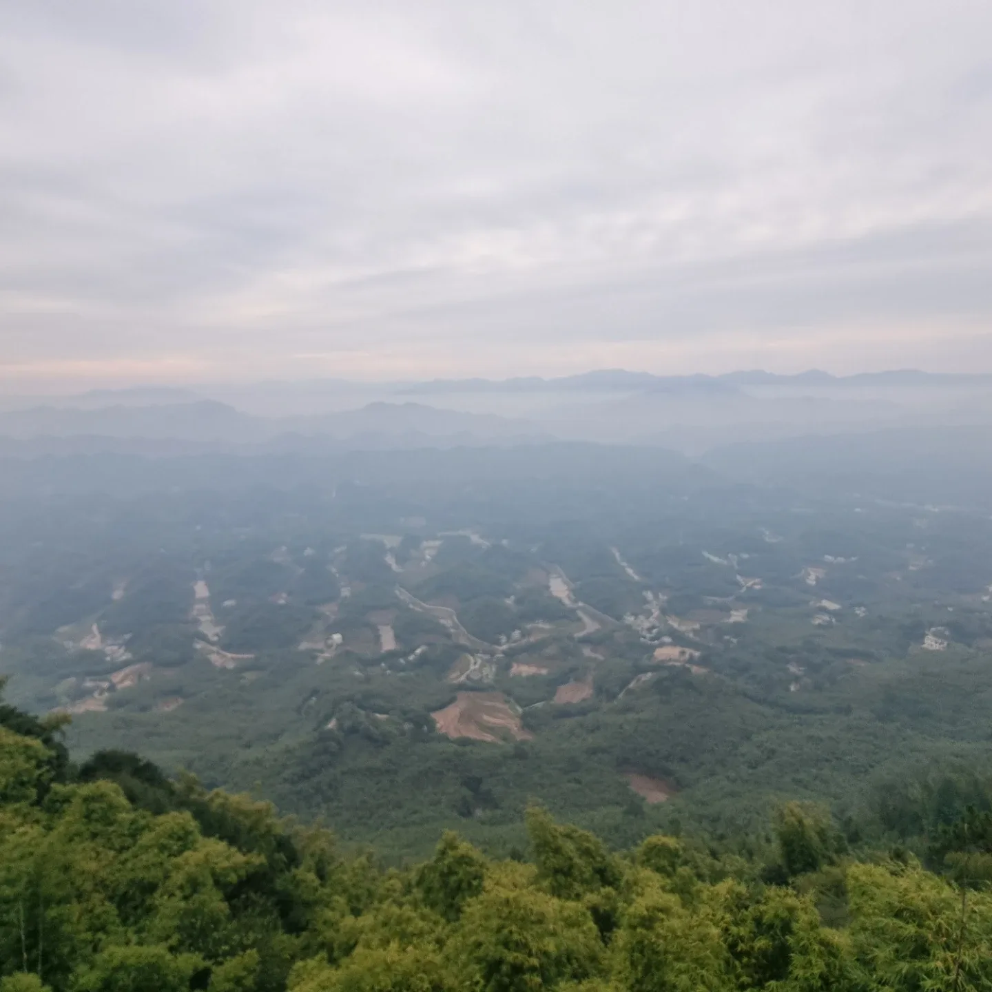 은승유승