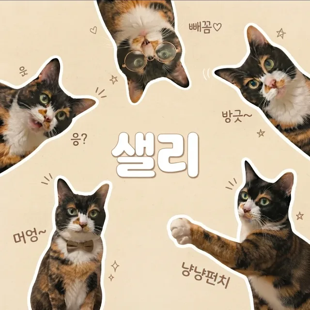 망곰