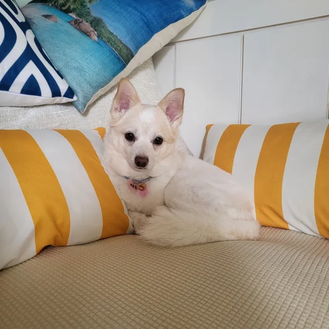애라정